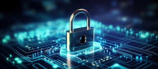 Crucial Factors to Evaluate before Purchasing Secure Virtual Data&nbsp;Rooms
